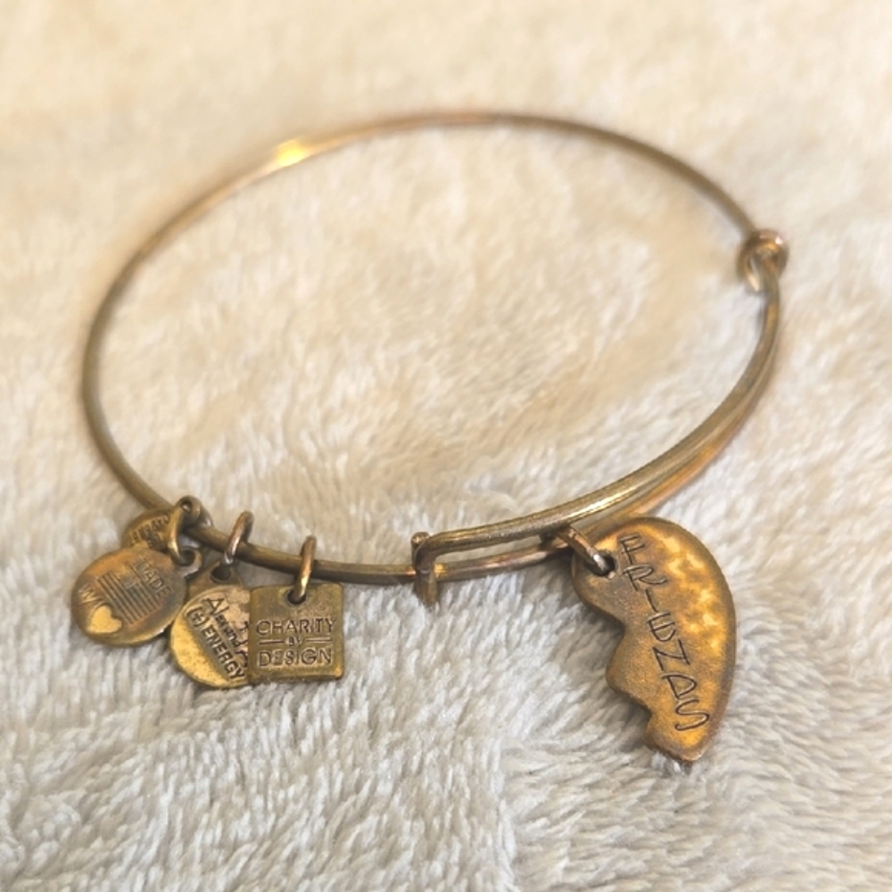#044 Alex And Ani Gold Charm Bracelet